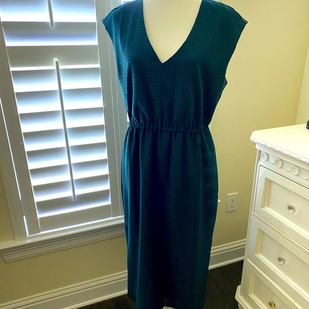J. Crew dress